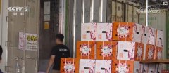 物流升级帮推进口生果商业：东南亚生果更快更